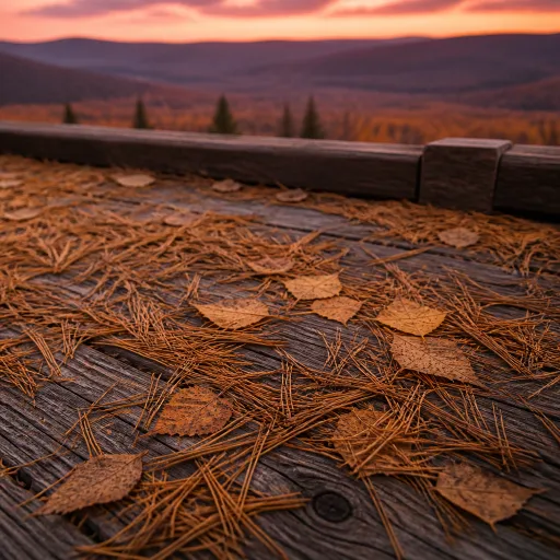 Chasing the Gold: Timing Mongolia's Larch and Birch Foliage Before It Vanishes